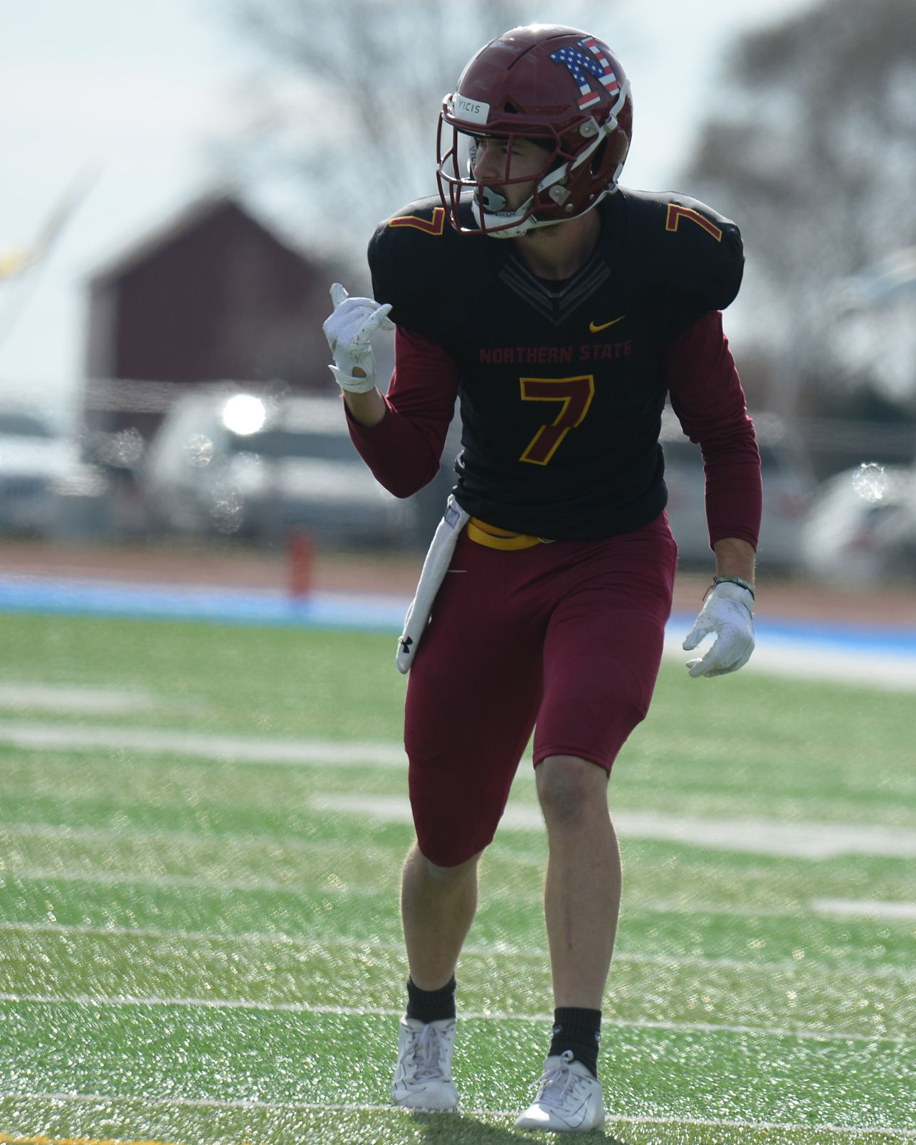 Dakota Larson